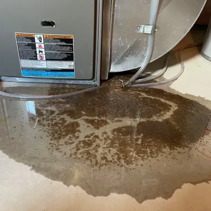 Appliance Leak Cleanup in Altamont, IL